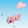 Pink-蝾螈
