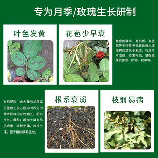 Rose Flower Fertilizer Extends Flowering Period, Roots and Strengthens Seedlings, Root Nutrition Granules Slow-Release Fertilizer