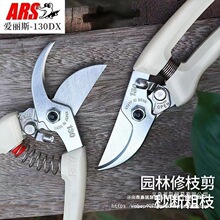 �ձ�����˹ԭ�bARS�����z130DX��֦��120DX����֦��������߿ռ�