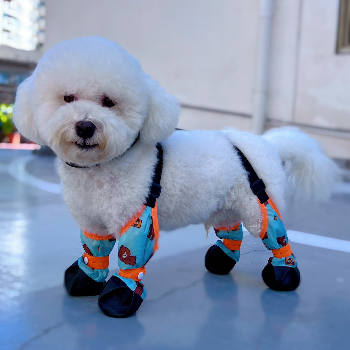 봄과 가을 작은 불곰 네발 점프수트