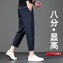 2025�＾�˷����eѝ��С���Ӿŷ�ֱͲ�@���@��160CM�ɾo����ѝ��