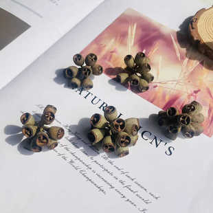 �ɹ�����ɹ�������ֲ��˱���򽩌ƹ��ֹ�diy�ɻ���������b�