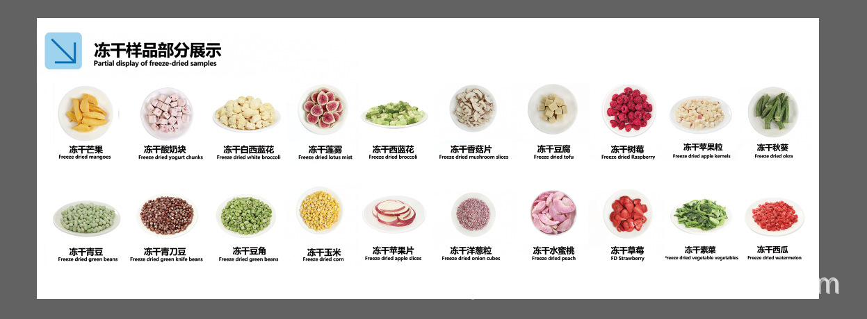 Laboratorio de liofilización al vacío medicina tradicional china alimentos frutas líquidos domésticos cordyceps pechuga de pollo liofilizador