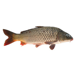 ʮ��𒡾�ɻ��~���f������ԭ���B�����~���r�r��F����С�t�~��ˮ