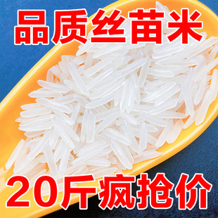 �Ϸ������׽z��������l�r���� ���r�������ܛŴ�L�������