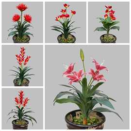 大百合菊花绿植盆栽叶子家居酒店装饰婚礼布置摆件花卉批发高仿真