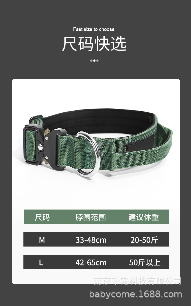 雷澳猛犬项圈_02.jpg