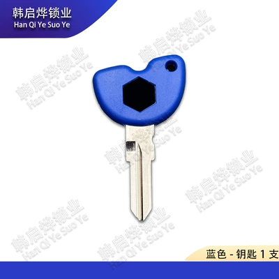 Chip Key – Motorcycle Key