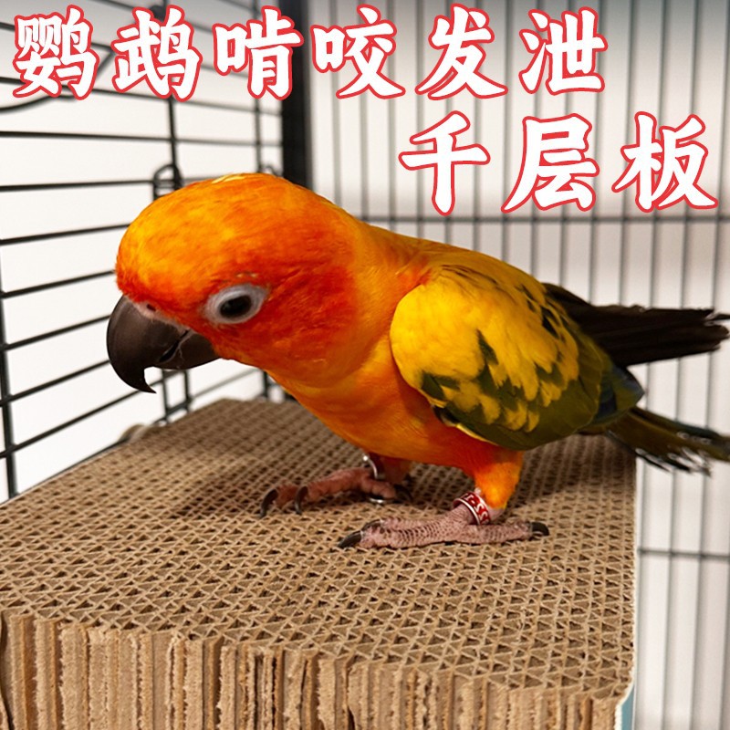 Parrot Toy Bite and Vent Melaleuca Corrugated Platform Xuanfeng Tiger Skin Molar Grinding Claw Solving Smoldering Bird Cage Accessories