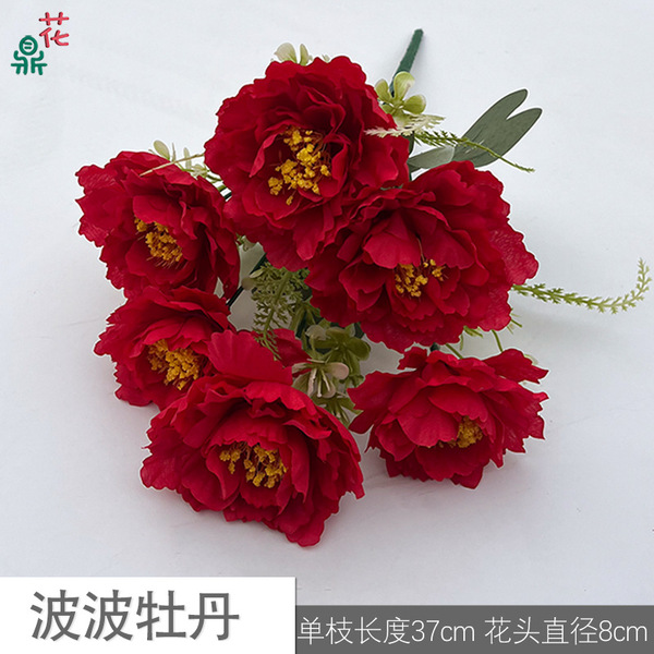 6 Bobo Peony puts the pine pine chrysanthemum commercial beauty Chen…