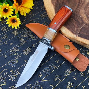 Outdoor Camping Style Household Portable Sharp Stainless Steel Peeling Fruit Knife Handle Meat Knife Multifunctional Knife Barbecue Knife