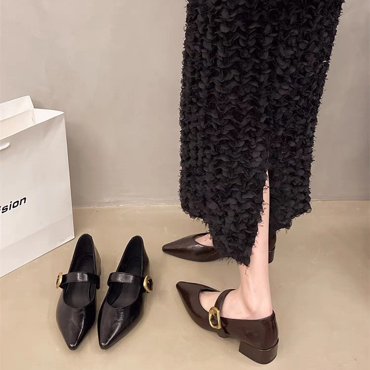 フレンチイブニングスタイルの女性用厚底ハイヒール、2025年春夏新作、スカート付き、ポインテッドトゥの小さな革靴、メリージェーンシューズ|undefined