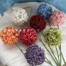 �Ųʰ����� 12cm���[����û�c���滨�ѹ�Ӣ���Q������Ҿ��b�