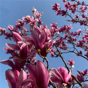 �²����m�N�������m�� �t���m ɽ���m �V���m�N�� �������m��N��