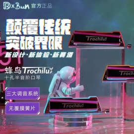 JDR嘉德瑞蓝馍馍设计蜂鸟Trochilus10孔半音阶口琴布鲁斯十孔C调