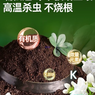 �I�B�������������N��ͨ�û����d�ӻ��軨������������͸��