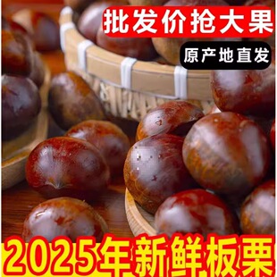 2025���r���|����5���r�������۴�����ڰ���Ұ���w���������F��
