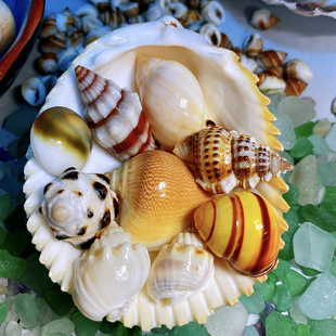 ����ؐ�� �oȾɫ �ɿ�؛����Ȼؐ������10���b ؐ�������ղؘ˱�