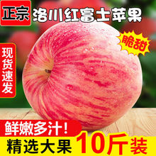 精選陝西洛川蘋果紅富士脆甜冰糖心蘋果批發整箱新鮮蘋果水果