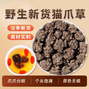 ؈צ����Ş���Ұ����؈צ����ˮ�ɴ��Ŀݲ��ѹ�Ӣ����