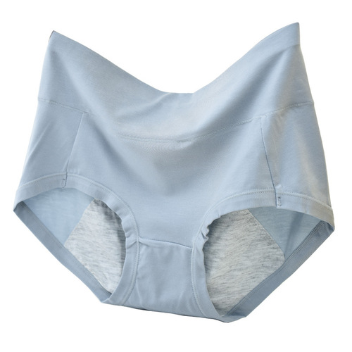Modesty Mid-rise Incontinence Pads for Women - Period Safety Pads for Heavy Flow - Triangular Women's Underwear