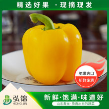 ɽ�|�۹�a�طNֲ��ʽ���ɫ������֭��ʈA�� �S�ʽ��a��