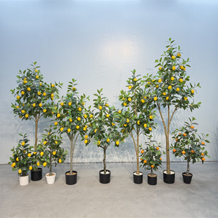 ���晎�ʘ䎧�����Ա��W�L��ؾGֲ�͏d�bٹ����҃Ȕ[��