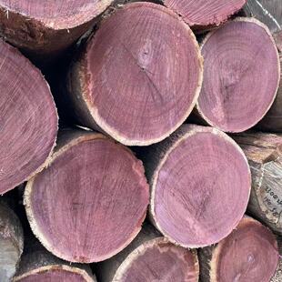 ���N����ľ ԭľľ�� ���_�m������̴ľ�匍ľ�� �ӹ�����ľ���