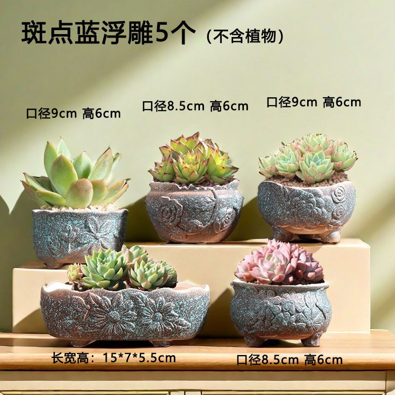 Piso de piedra en relieve, suculentas, ollas de cerámica especiales, carne pequeña, suculentas para el hogar, venta directa de fábrica, liquidación al por mayor