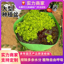 �Ӻ���ֲ���N�����̨���@�߲˻���������Nֲ����͟o�����Nֲ��