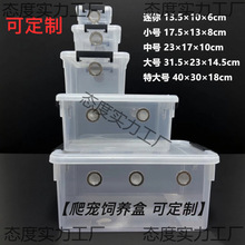 ������B�� ��D�،m֩��������ݽ���ϐ�Ӹ����͸����B��