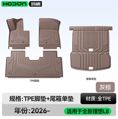 Starry Sky Carpet Floor Mat — Modelə uyğun ayaqaltı - ideal-l8livis-26-models-five-seats-package-model-brown-tpe-single-layer-trunk-single-pad