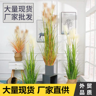 Simulation reed artificial reed grass wholesale fake plant mall home decoration onion dog tail simulation green plants