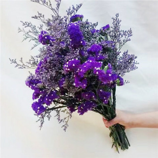 ��������ҝM���Ǹɻ��滨��������ֱ�l�Ҿ��b[��С����