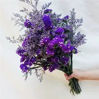 Сухоцветы: незабудки Юньнани и гипсофила, микс, прямые поставки с фабрики, для домашнего декора, свежий стиль.