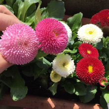 rջN׷NСrշNļ׻̨҃С׾