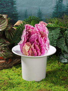 ɽҰ�L�W�t��偲;�Ư���˱P����ɫ���޲�ɽș���׹S������偱P��