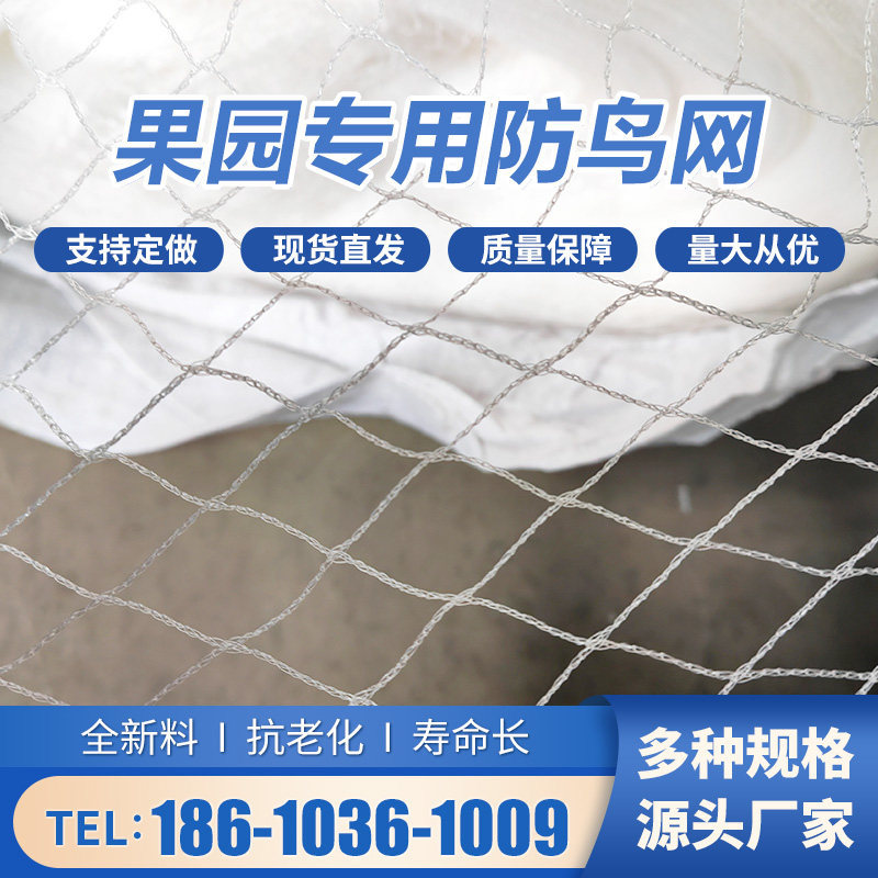 果园果树防鸟网樱桃树防鸟网防鸟网尼龙线果园防鸟天网