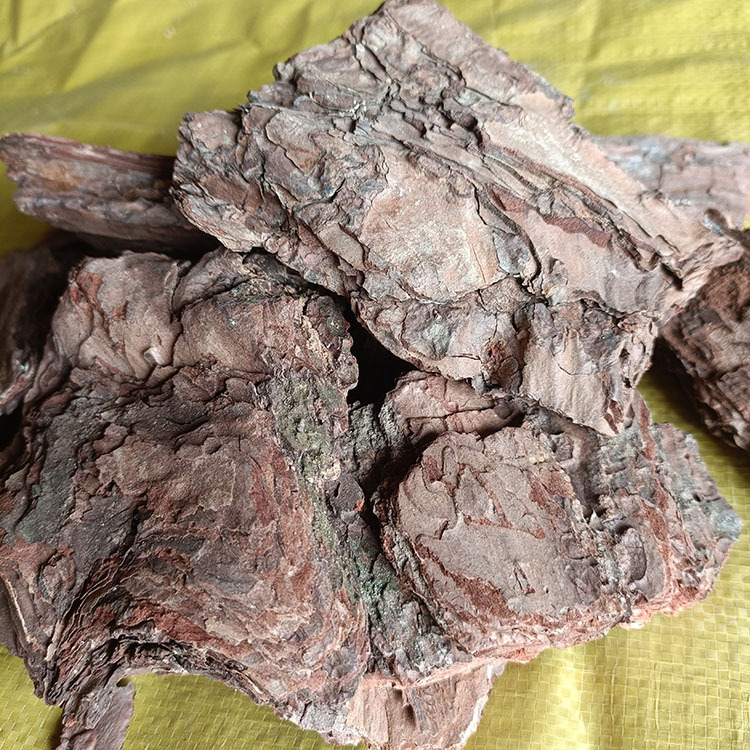 47c491e62a25023976024b8b45cb4c