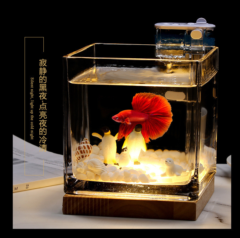 e5d49754-21d8-4019-90e2-0a31384ac6be.jpe