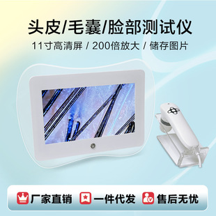 Hair Follicle Detector Hd Scalp Tester Head Therapy Hall Hair Care Instrument Beauty Salon All-In-One Machine