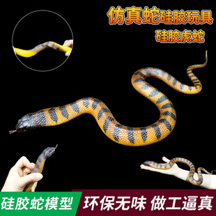 �����̖���z�������ģ�����߶���ܛ�z���R�߄����β�߇������M