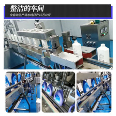 500g Toilet Cleaning Liquid Wholesale Customized Dropshipping Toilet Bathroom Toilet Cleaner Deodorizing and Stains Toilet Cleaning Spirit