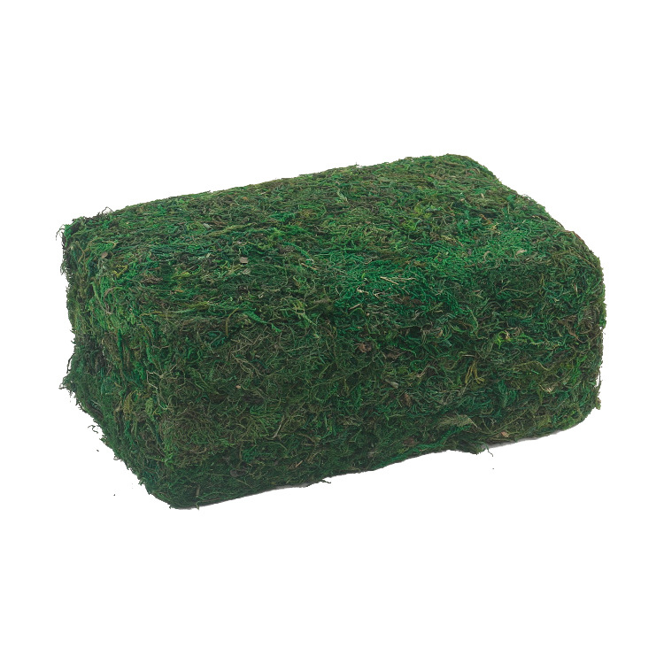 Simulación de musgo seco de piedra de musgo Simulación de planta verde Arreglo floral Simulación de musgo Arte floral Exportación transfronteriza