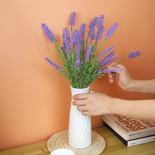 ���滨޹�²ݼٻ��b������滨�[�����û�Y�����û���Y����