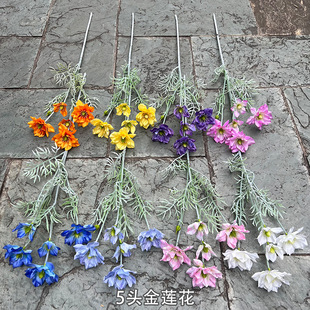 �¿��c���滨���Q�S�� 5�^ֲ�q��ɏ���F��ɏ���@�L��Y�ٻ����l