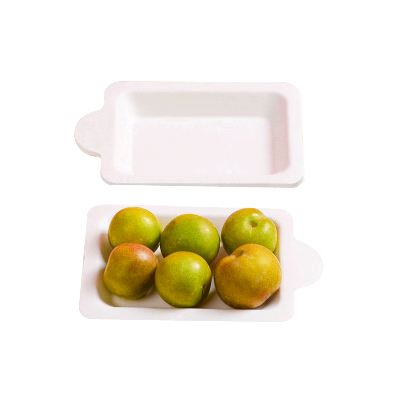 Zhongxin Sugarcane Pulp Custom Disposable Tableware – Plates Bowls Cake Trays OEM