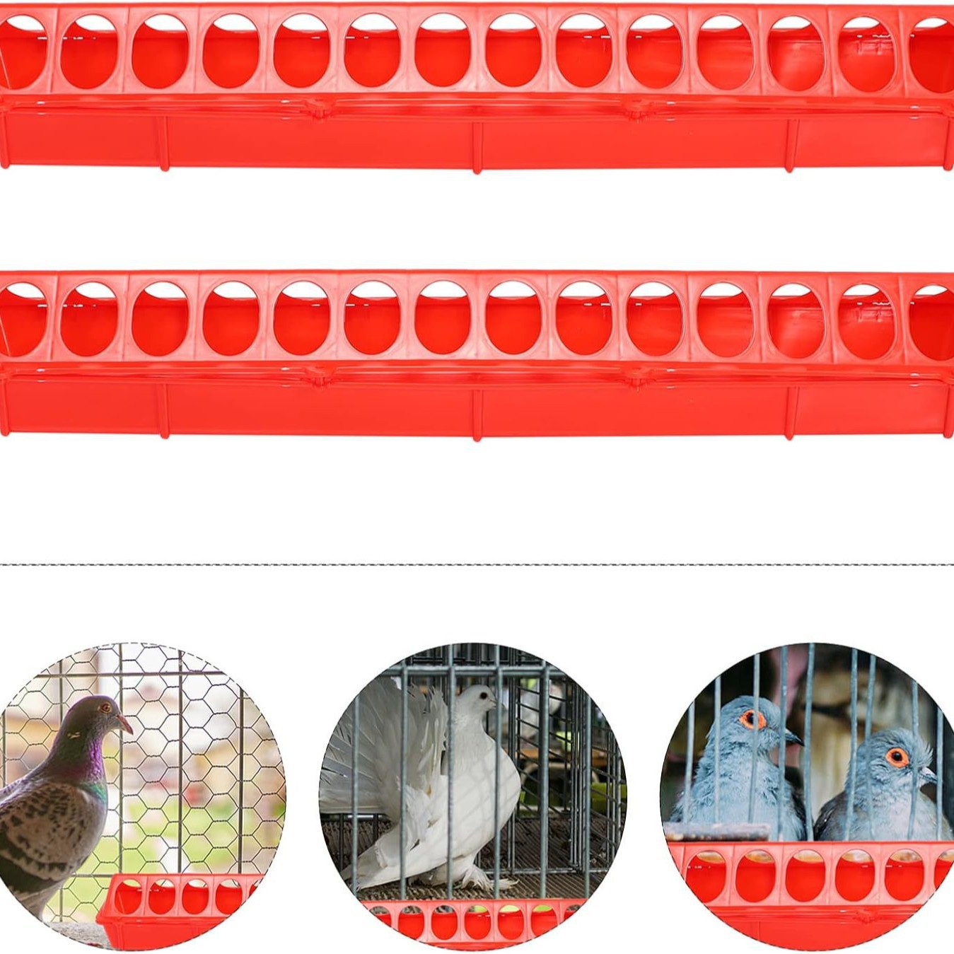 Pollos, patos y gansos con comederos largos, comederos porosos para pollos, comederos porosos, comederos para pollos, comederos porosos, comederos para palomas