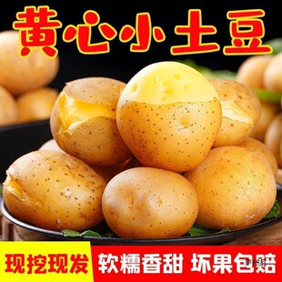 ��ʩС����10����]�������r���������S��ʿ�������R����߲�