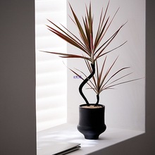 �йŁ����L�����p��ǧ��ľֲ����҃��b��B���ԃ����՚�Gֲ